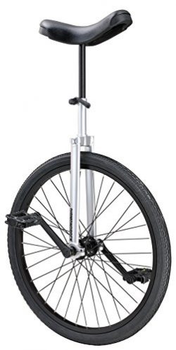 Diamondback Bicycles CX Wheel Unicycle, Chrome/Painted, 24″/One Size