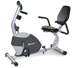 Velocity Exercise Gray Recumbent Exercise Bike