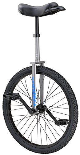 Diamondback Bicycles LX Wheel Unicycle, Silver, 24″/One Size