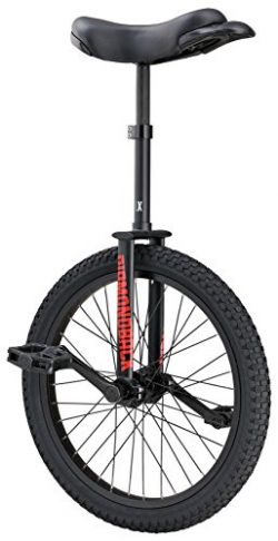 Diamondback Bicycles LX Wheel Unicycle, Black, 20″/One Size