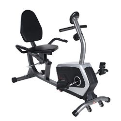 Sunny Health & Fitness Magnetic Recumbent Bike Exercise Bike, 300lb Capacity, Easy Adjustabl ...