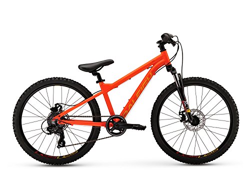 Raleigh Bikes Kids Tokul Mountain Bike, Orange, One Size