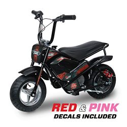 Monster Moto 250 Watt Electric Mini Bike – MM-E250-PR