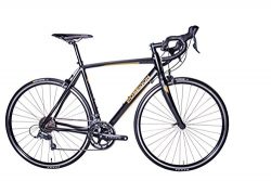 Poseidon “TRITON” Road Bike (Gold Dust, 56cm)