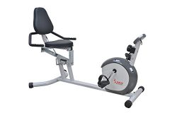 Sunny Health & Fitness Magnetic Recumbent Bike Exercise Bike, 300lb Capacity, Easy Adjustabl ...