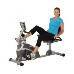 Exerpeutic 1000 Magnetic Hig Capacity Recumbent Exercise Bike for Seniors