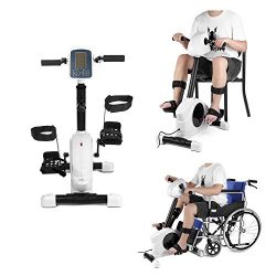 Recumbent Bikes for Seniors Stroke Rehab Electric Bicycle Trainer Motorized Exerciser Handicap D ...