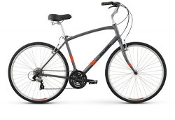 Raleigh Detour 2 Comfort Bike, 15″ /Sm, Silver, 15″ / small