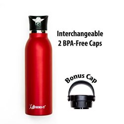 Bend It Sport Thermos Vacuum Insulated Double Walled Stainless Steel Water Bottle, 2 BPA Free Sc ...