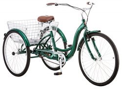 Schwinn Meridian Wheel Trike Bicycle, Green, 14″/One Size