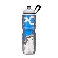 Polar Bottle Insulated Water Bottle (24-Ounce) (Big Bear)