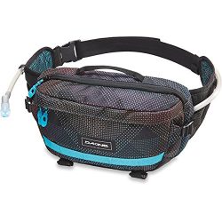 DAKINE Hot Laps 5L Bike Waist Bag (Stella)