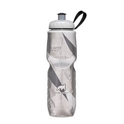 Polar Bottle Insulated Water Bottle (24-Ounce) (Black Graphic)