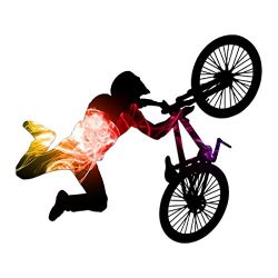 BMX Bike Rider Silhouette Color Vinyl Sports Car Laptop Sticker – 6″