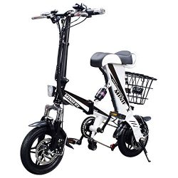 MEIYATU E-Bike – Folding Electric Bicycle with 15-18 Miles Range, E-Bike Scooter 250W Powerful M ...