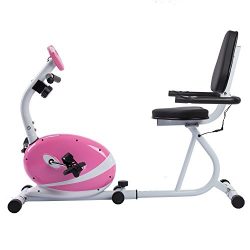 Sunny Health & Fitness Magnetic Recumbent Bike Exercise Bike, 220lb Capacity, Monitor, Pulse ...