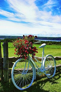 Home Comforts LAMINATED POSTER Bike Fields Landscape Flowers Nature Bouquet Poster 24×16 Ad ...