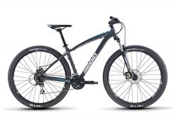 Diamondback Bicycles Overdrive 1 29er Hardtail Mountain Bike, Silver