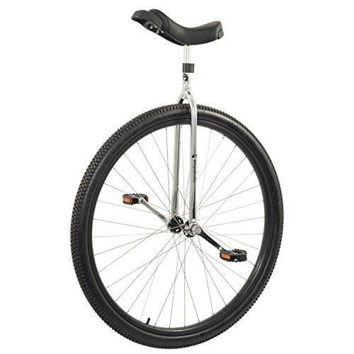 Unicycle Board by Byron Galloway BikingBee